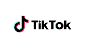 tiktok-happiness-camp-website